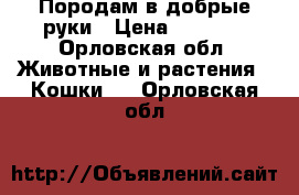 Породам в добрые руки › Цена ­ 1 500 - Орловская обл. Животные и растения » Кошки   . Орловская обл.